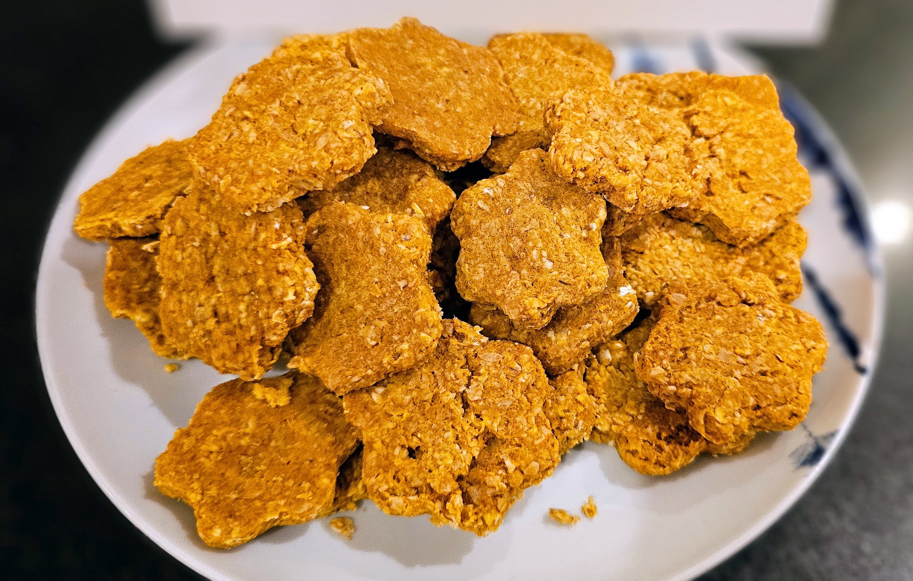 Pumpkin Oat Delights